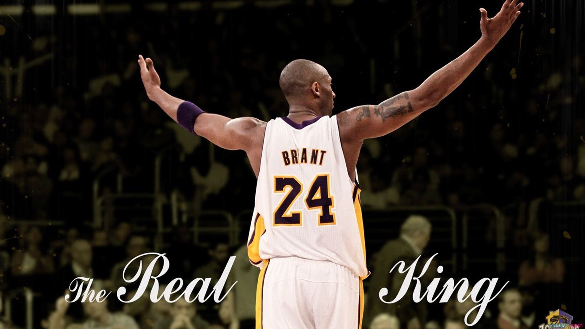 NBA球星训练方法:刻苦训练,保持状态,nba球星的训练方法