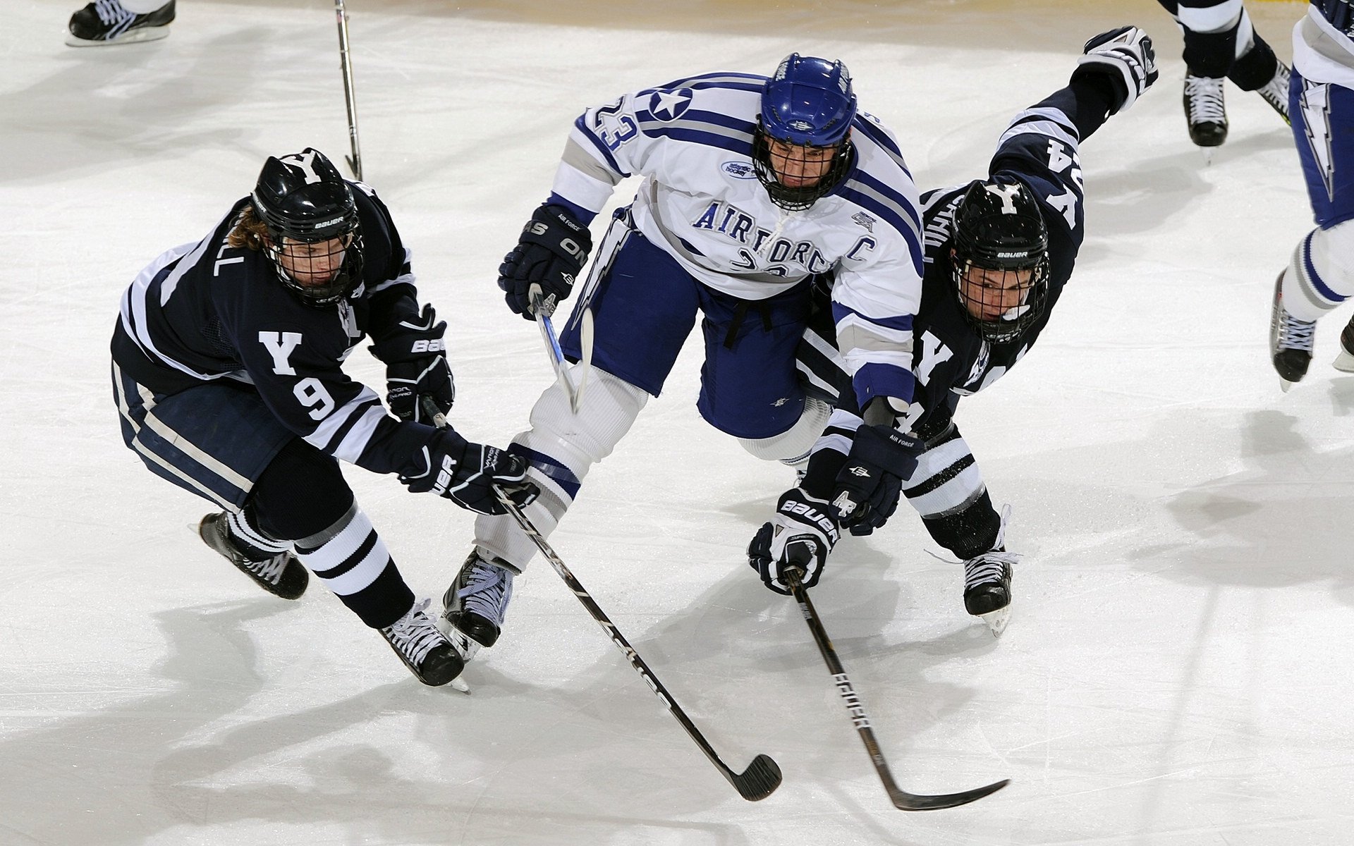 体育焦点评论板块更新上线，体育热点查询